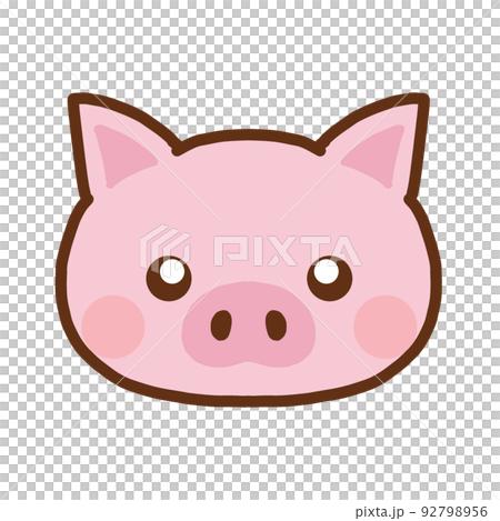 Simple close-up of a pig's face 92798956