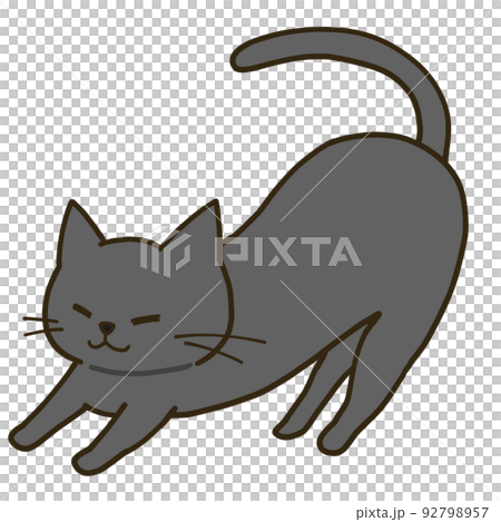 伸びをするシンプルな黒猫 92798957
