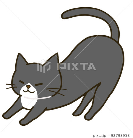 伸びをするシンプルなハチワレ黒猫 92798958