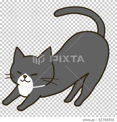 伸びをするシンプルなハチワレ黒猫 92798958