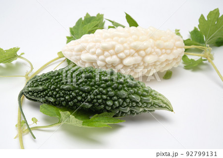 White and green bitter gourd or bitter melon with vine isolated on white background White and green bitter gourd or bitter melon with vine isolated on white background 92799131