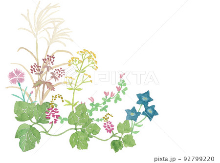 水彩の秋の七草イラスト左下フレーム 92799220