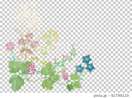 水彩の秋の七草イラスト左下フレーム 92799220
