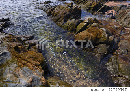 平磯海岸の白亜紀層 92799547