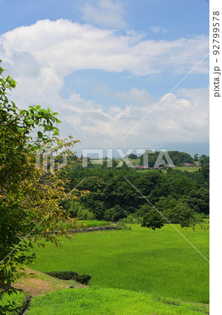 小山町竹之下の原風景　夏の田園風景　静岡 92799578