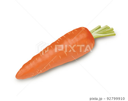 にんじん（1本） 92799910