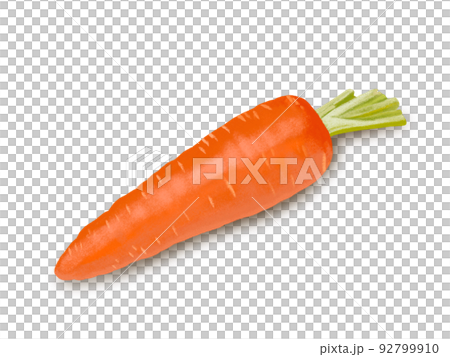 にんじん（1本） 92799910