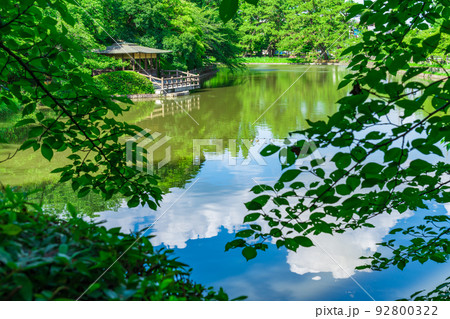 夏の亀城公園〈愛知県刈谷市〉 92800322