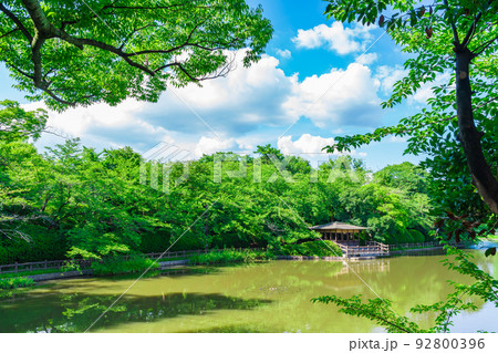 夏の亀城公園〈愛知県刈谷市〉 92800396