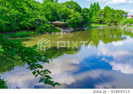 夏の亀城公園〈愛知県刈谷市〉 92800414
