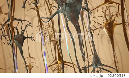 Diffuse axonal injury; is caused by a combination of acceleration, deceleration and contact forces. 92800513