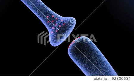 Neuronas and Synapse 3D rende 92800654