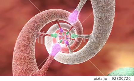 DNA sequence view 3d medical DNA sequence view 3d medical 92800720