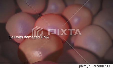 Cancer begins when genetic changes interfere with this orderly process. Cancer begins when genetic changes interfere with this orderly process. 92800734