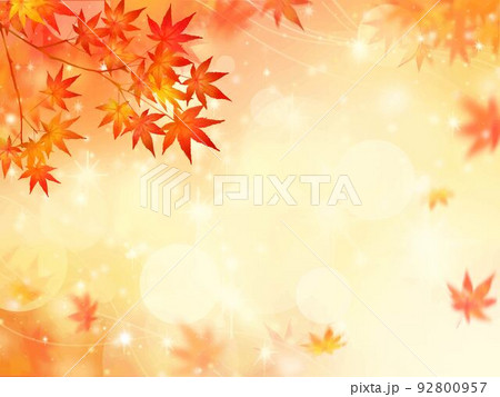 キラキラ輝く美しい紅葉の葉のオシャレなベクターの光の差し込むピンボケの背景素材フレーム 92800957