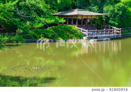 夏の亀城公園〈愛知県刈谷市〉 夏の亀城公園〈愛知県刈谷市〉 92800958