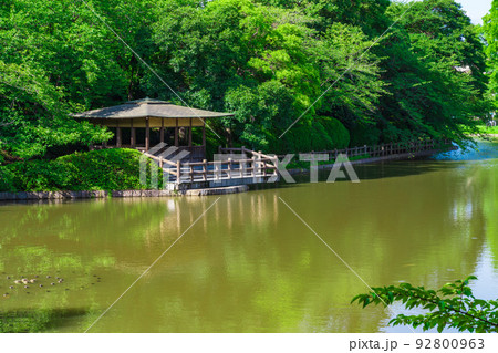 夏の亀城公園〈愛知県刈谷市〉 92800963