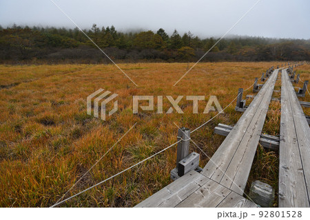 那須連山登山、沼原ルート、栃木県 那須連山登山、沼原ルート、栃木県 92801528