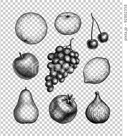 Fruits ink sketches. Fruits ink sketches. 92802358