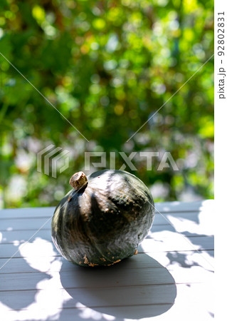 夏野菜　物撮り　南瓜 92802831