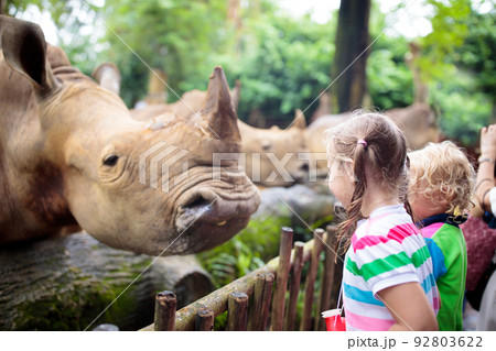 Kids feed rhino in zoo. Family at animal park. Kids feed rhino in zoo. Family at animal park. 92803622