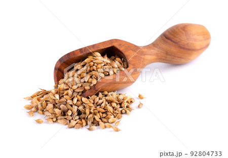 Utsho suneli seeds in wooden scoop, isolated on white background. Trigonella caerulea or blue fenugreek. Top view. Utsho suneli seeds in wooden scoop, isolated on white background. Trigonella caerulea or blue fenugreek. Top view. 92804733
