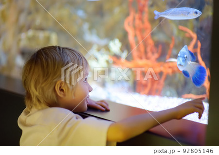 Little boy watches fishes in aquarium. Child exploring nature. Elementary student is on excursion in seaquarium. Little boy watches fishes in aquarium. Child exploring nature. Elementary student is on excursion in seaquarium. 92805146