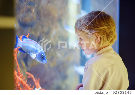 Little boy watches fishes in aquarium. Child exploring nature. Elementary student is on excursion in seaquarium. Little boy watches fishes in aquarium. Child exploring nature. Elementary student is on excursion in seaquarium. 92805149