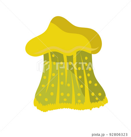 Jellyfish cartoon isolated medusa and biology jelly fish. Marine and water life animal vector illustration. Colorful exotic undersea wildlife with tentacle and sea nature icon Jellyfish cartoon isolated medusa and biology jelly fish. Marine and water life animal vector illustration. Colorful exotic undersea wildlife with tentacle and sea nature icon 92806323