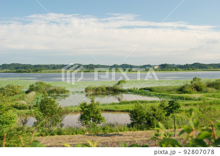 宮城県 栗原市 初夏 ラムサール条約登録湿地 伊豆沼・内沼サンクチュアリーからの眺望 宮城県 栗原市 初夏 ラムサール条約登録湿地 伊豆沼・内沼サンクチュアリーからの眺望 92807078