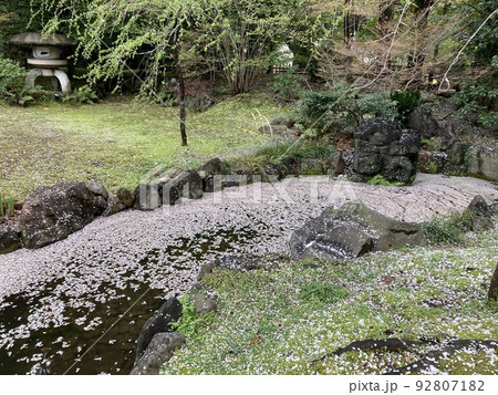 4月1日、靖國神社の神池庭園の池に浮かぶ桜の花びらです。 4月1日、靖國神社の神池庭園の池に浮かぶ桜の花びらです。 92807182