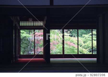 赤や緑の葉の樹や植物の生える庭の見える大きな窓のある日本家屋の室内からの風景の写真素材 [92807206] - PIXTA