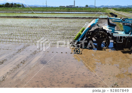 田植え作業中の水田 田植え作業中の水田 92807849