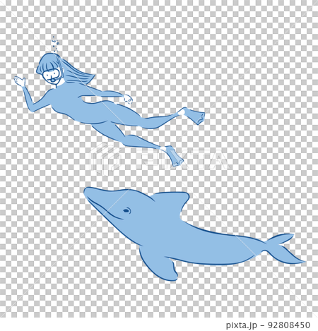 Female diver swimming with dolphins 92808450