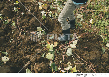 8 years old 92809398