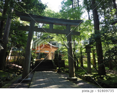 弥彦神社　摂社・末社 92809735