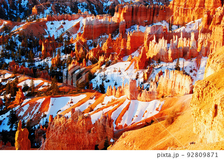 アメリカ　ユタ州　ブライスキャニオン国立公園　土柱　早春の朝　 92809871