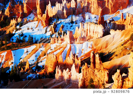 アメリカ　ユタ州　ブライスキャニオン国立公園　土柱　早春の朝　 92809876