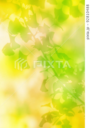 秋色の木漏れ日、光あふれるイチョウのシルエット 92810488