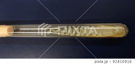 微生物の保存 微生物の保存 92810916