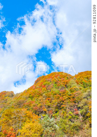 紅葉の山 92811099