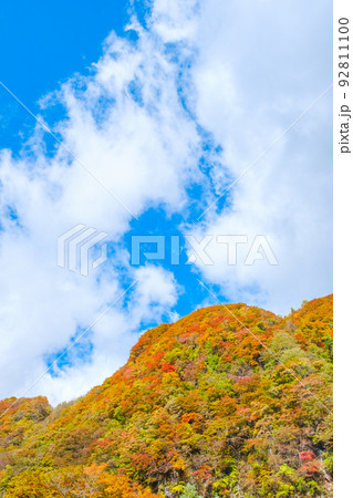 紅葉の山 92811100