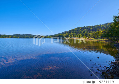 秋の尾瀬 尾瀬沼南岸の湖畔から北東側(大江湿原)方面を見る 92811191