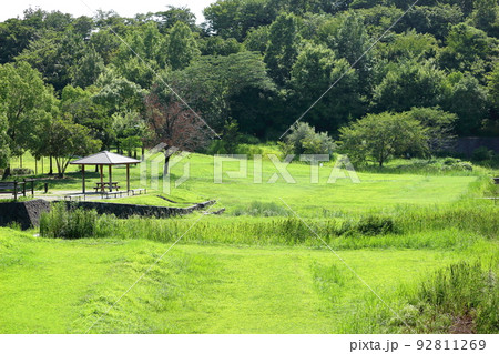 緑が眩しい真夏の公園 92811269