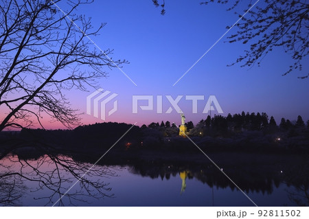 黄昏時の自由の女神像と桜（ライトアップ） 92811502