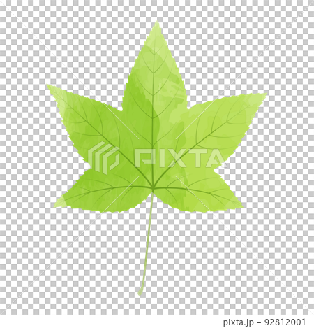 モミジバフウの葉っぱのイラスト　水彩画風 92812001