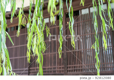 夏の産寧坂(三年坂)の風景 京都府京都市 夏の産寧坂(三年坂)の風景 京都府京都市 92812080