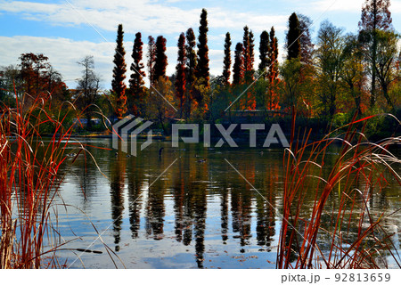 東京 井の頭公園の紅葉 東京 井の頭公園の紅葉 92813659