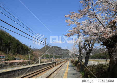 福知山線 桜咲く春の藍本駅 福知山線 桜咲く春の藍本駅 92813688