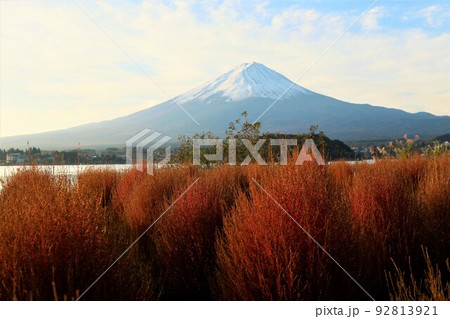 河口湖からの富士山 92813921